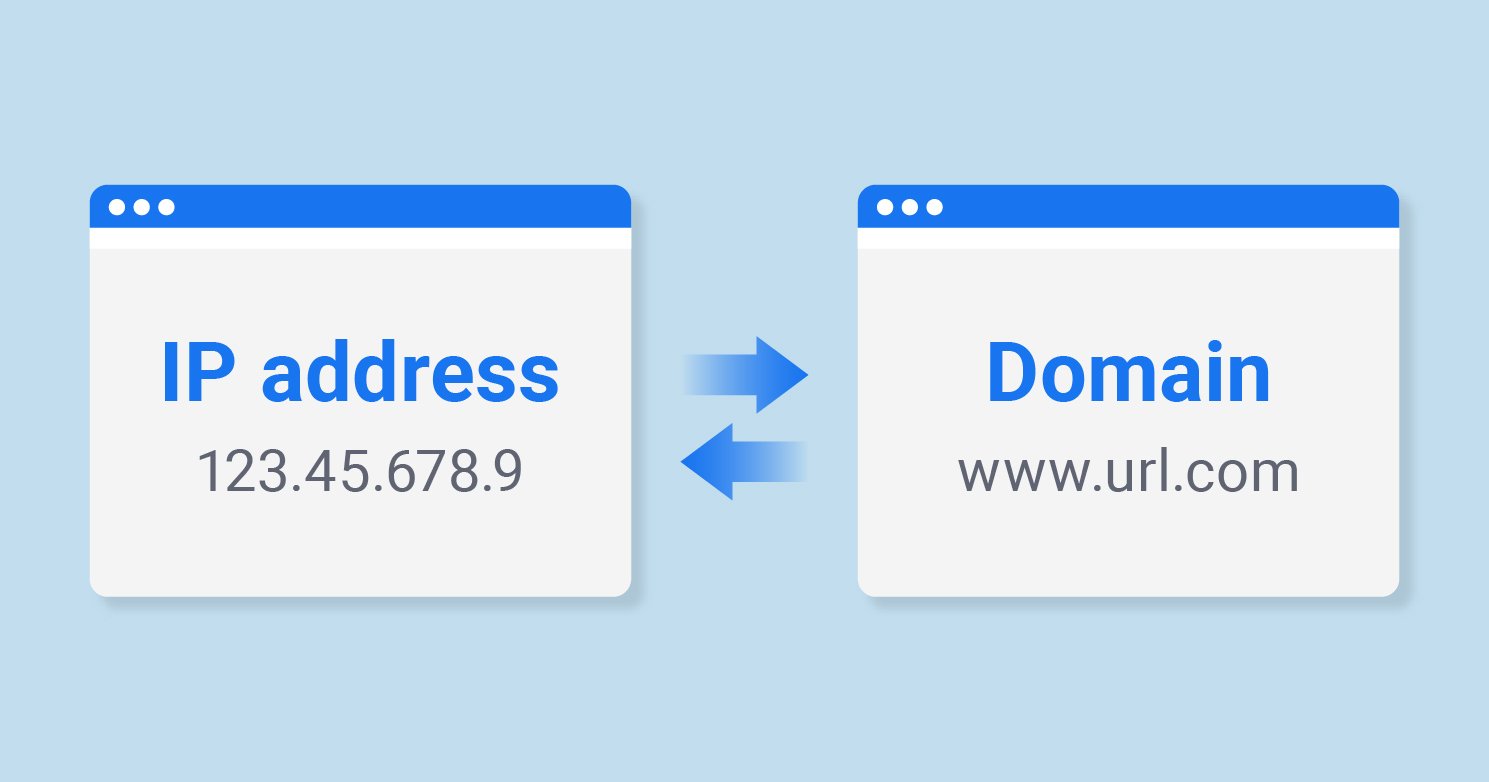 IP Address Vs Domain Name Starlink