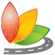 Road Safety through Self-Transformation